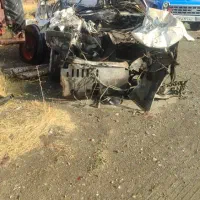 سمند تصادفی