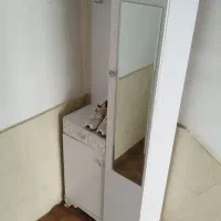 جاکفشی