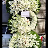 تحویل فوری گلها طبیعی تسلیت تاج جام ترحیم وختم عزا|گل و گیاه طبیعی|تهران, دردشت|دیوار