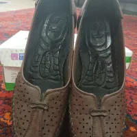 کفش زنانه|کیف، کفش، کمربند|رشت, فلسطین|دیوار