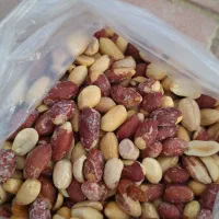 های بای ترد و تازه درجه ۱|خوردنی و آشامیدنی|تهران, یافت آباد جنوبی|دیوار