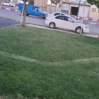 سورن پلاس efفول