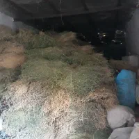 بیده|لوازم جانبی حیوانات|اسفراین, |دیوار