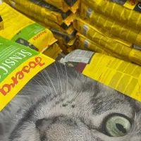 رویال کنین همه مدل roy|لوازم جانبی حیوانات|مشهد, گلبرگ|دیوار