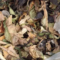 فروش خشکاله برای خوراک دام