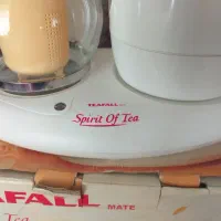 چای ساز تفال اصل