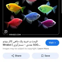 معاوضه ماهی با طوقی