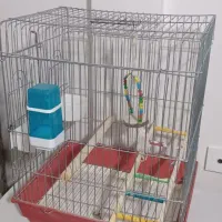 قفس عروس هلندی|لوازم جانبی حیوانات|نسیم‌شهر, |دیوار