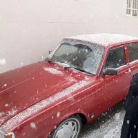 فروش پیکان کلاسیک|خودرو کلاسیک|کرج, نوروزآباد|دیوار