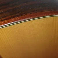 گیتار|گیتار، بیس، امپلیفایر|اردبیل, |دیوار