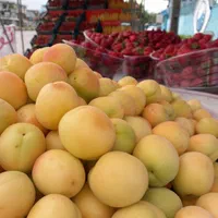 تابلودار حقوق روزانه 800 ماهانه 22میلیون