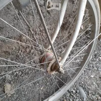 دوچرخه 24 افغانی|دوچرخه، اسکیت، اسکوتر|زابل, |دیوار