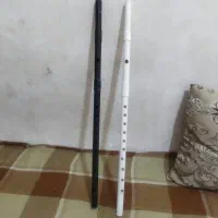 فلوت عربی پلیکا