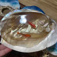 ماهی رزینی هفت سین