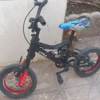 چرخ ۱۲حرفه ای
