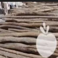 چوب دار ساختمانی