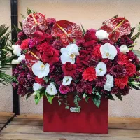 روز دخترو باکس گلش فقط