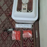 دستکاه جوجه کشی اسکندری