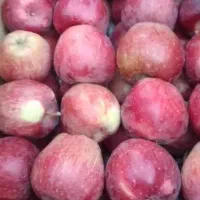 سیب قرمز سورتینگ شده صادراتی|خوردنی و آشامیدنی|تهران, افسریه جنوبی|دیوار