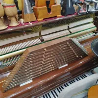 سنتور دو مهر موسوی ، خدمات و تعمیرات انواع سنتور