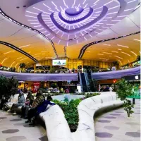 کباب پز. کباب ترکی. پاچینی. وسط کار. گریل کار