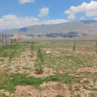 باغ 500متری صومعه منطقه روبه رشد