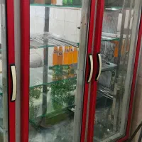 یخچال ویترینی دومتری