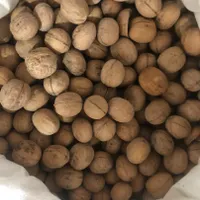 گ ر د و خارجی|خوردنی و آشامیدنی|یاسوج, |دیوار