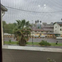 مجتمع نسیم/55متری/1خواب/شیک و تمیز/کمیاب|اجارهٔ آپارتمان|لاهیجان, یوسف آباد|دیوار