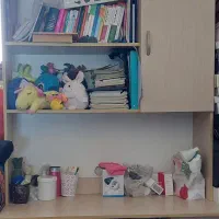 کتابخانه سالم.