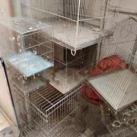 قفس مرغ مینا