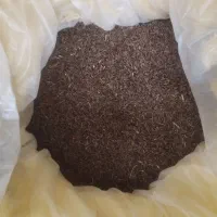 زیره کوهی اصل