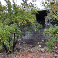 فروش باغ ۷۰۰ متری|فروش زمین و ملک کلنگی|فردوس (خراسان), |دیوار