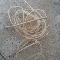 وسایل آکواریوم|ماهی|فولادشهر, A2|دیوار