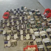 اتصالات ۵لایه، پولیکا
