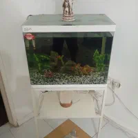 اکواریوم کامل با پایه