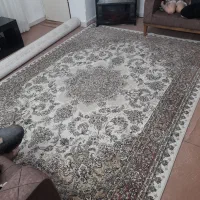 فرش ۹متری|فرش|رشت, رودباری|دیوار