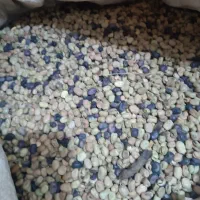 باقالی امسالی مناسب کشت|خوردنی و آشامیدنی|نیشابور, شهرک رسولی|دیوار