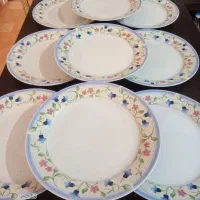 گل مرغی و ارکوال اصل|ظروف سرو و پذیرایی|فردیس, شهرک ارم|دیوار