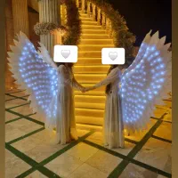 اجاره بال نورانی