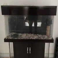 اکواریم شیشه خم