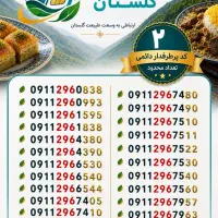 296 پرطرفدار کد دو قدیمی