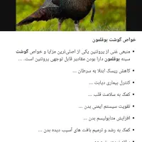 چهار تا هست کاملا طبیعی هستن|حراج|پارس‌آباد, |دیوار