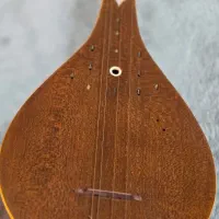 سه تار کاسه کمالیان|سازهای سنتی|لنجان, |دیوار