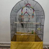 عروس هلندی دستی