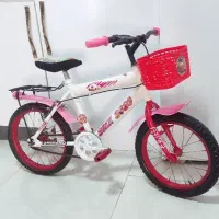 دوچرخه ۱۶ عروسک