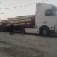 خرید و فروش و برش چوب ودرخت درکل خوزستان|خدمات باغبانی و درختکاری|اهواز, کوی باهنر|دیوار