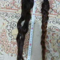 موسر|آرایشی، بهداشتی، درمانی|پرند, فاز ۶|دیوار