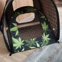 کیف حمل طوطی