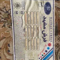 فرش ۵۰۰شانه‌|فرش|فومن, |دیوار